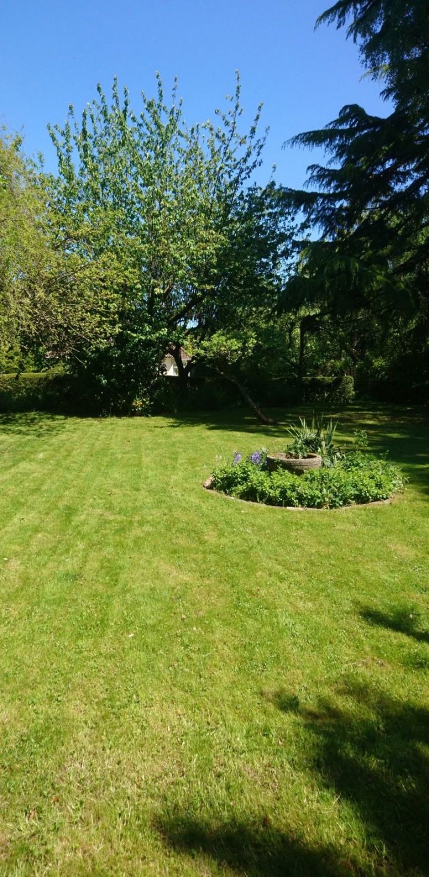 Images for Battle, East Sussex