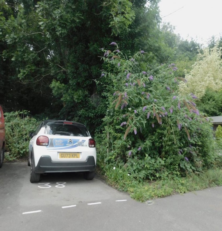 Images for Spring Lane, East Sussex