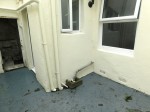 Images for Carisbrooke Road, East Sussex