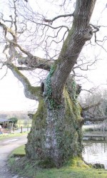 Images for Bishops Lane, Robertsbridge